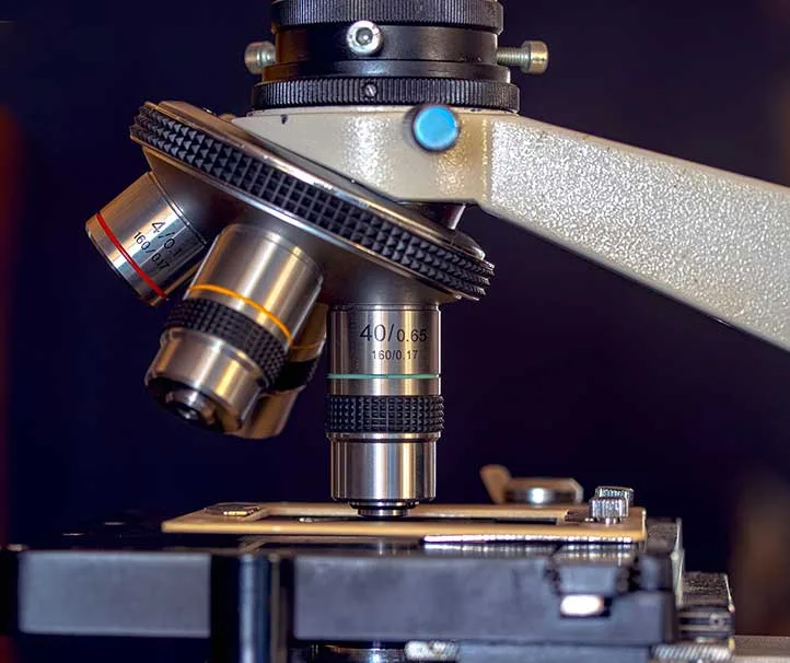 microscopio